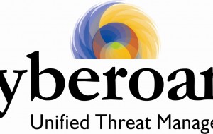 Cyberoam UTM introduces On-Appliance SSL VPN 